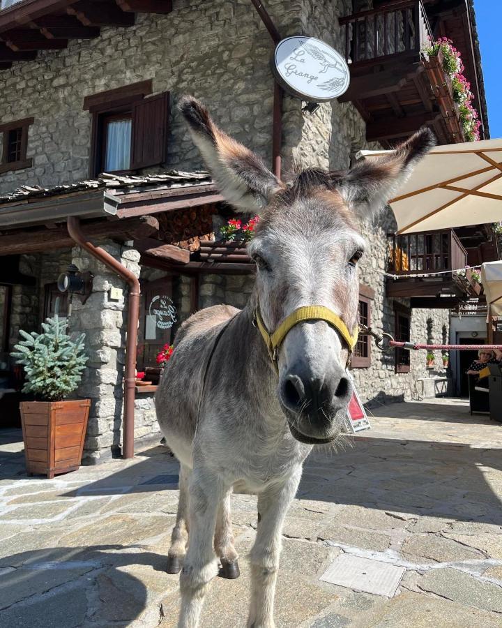 Hotel La Grange - Animal Chic Hotel كورمايور المظهر الخارجي الصورة
