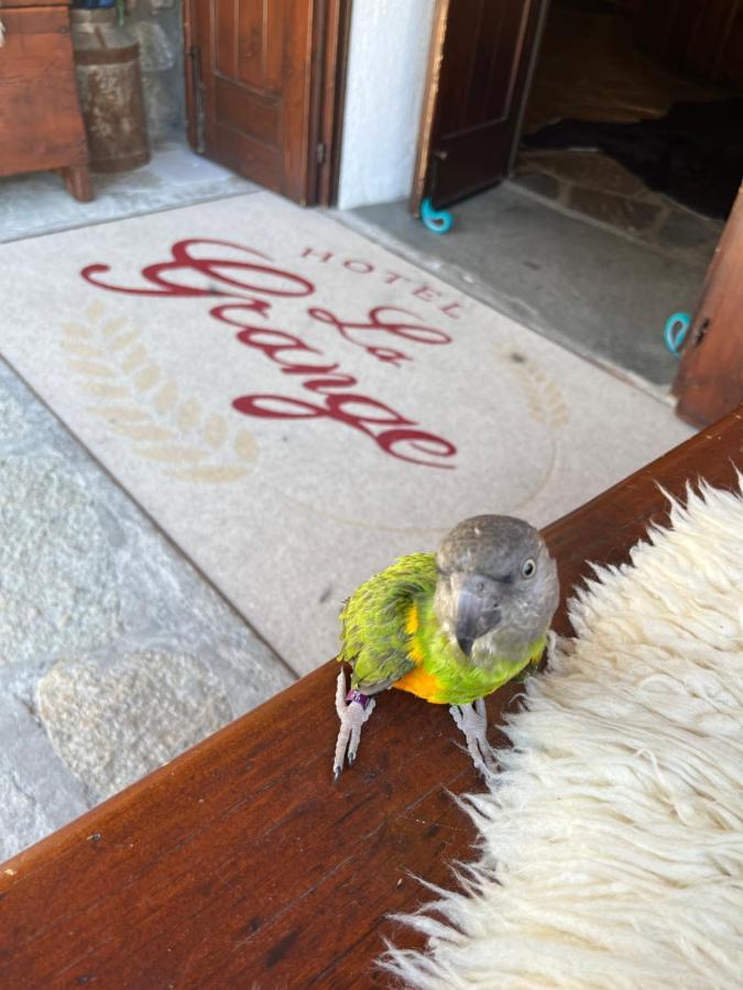 Hotel La Grange - Animal Chic Hotel كورمايور المظهر الخارجي الصورة